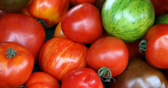 Grow it yourself: Tomatoes