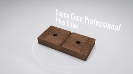 CANNA Coco Cube